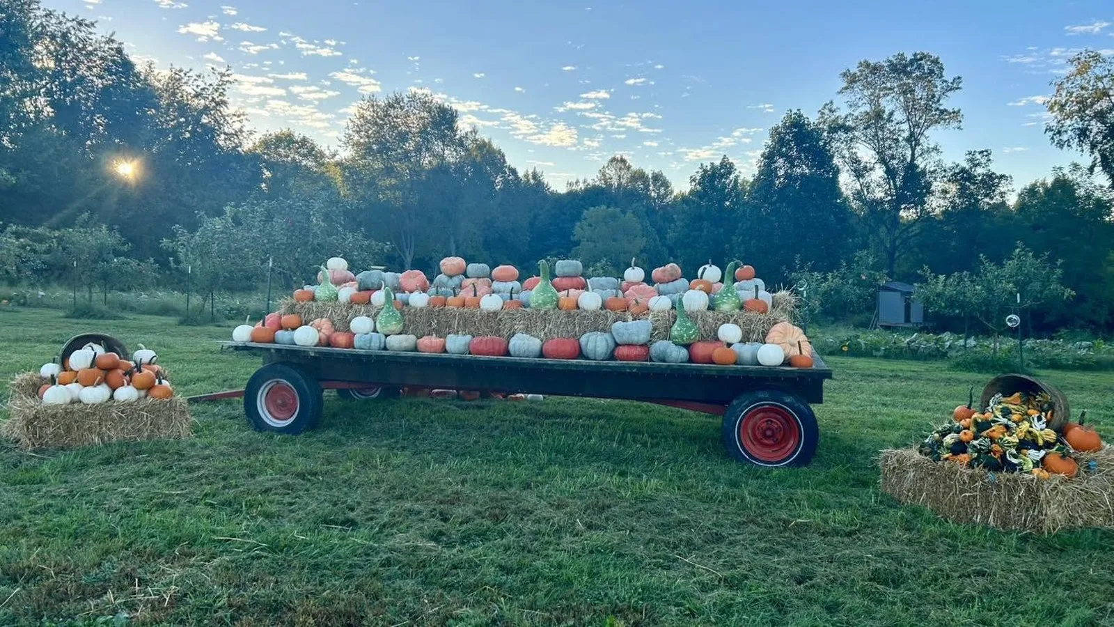U-Pick Pumpkins & Apples + Mini Corn Maze at Dugan Hollow Farms photo